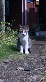 ec075432.jpg