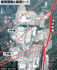 敦賀原発廃炉活断層