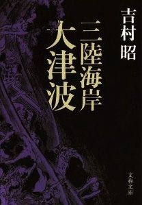 sanrikukaiganootunami