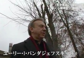 バンダシェフスキー
