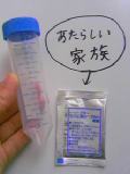 カスピ海.jpg
