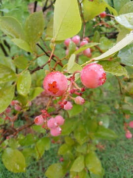 IMG_20170816_123107