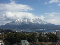 IMG_1341
