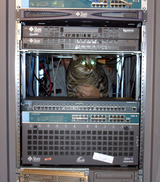 d47002d1.jpg