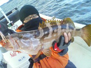 200812311618324545454