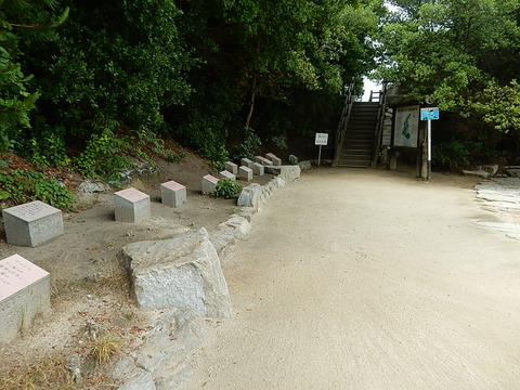 DSCN7128