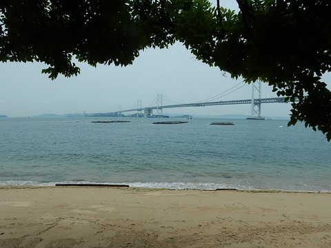 DSCN7115