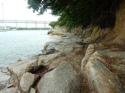 DSCN7140