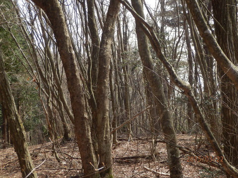 P3220031