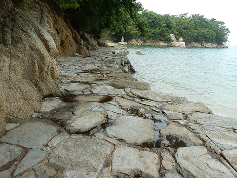 DSCN7137
