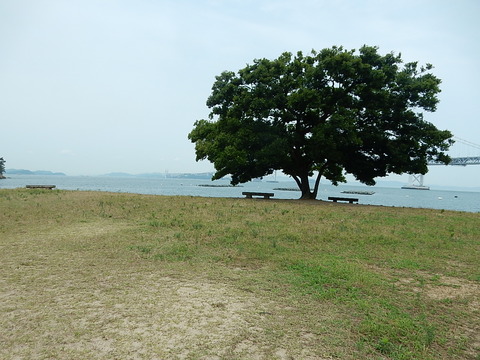 DSCN7113