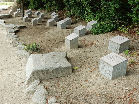 DSCN7126