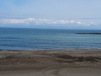 DSC_0105