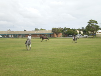 Kingscliff Dec 2011 026