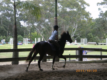 Gold Coast show 2026