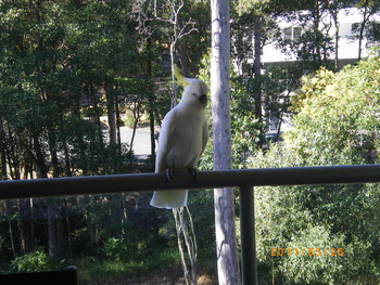 Aug 2011 001