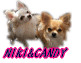niki&candy-icon