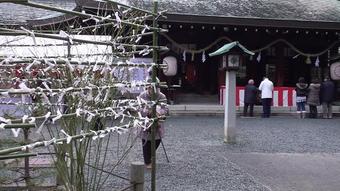 20090101095507(5)s
