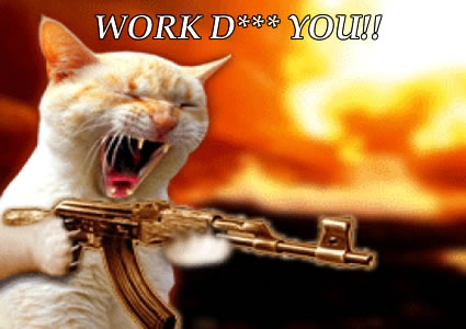 kitty-has-it-hard