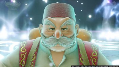 dq11 (1)