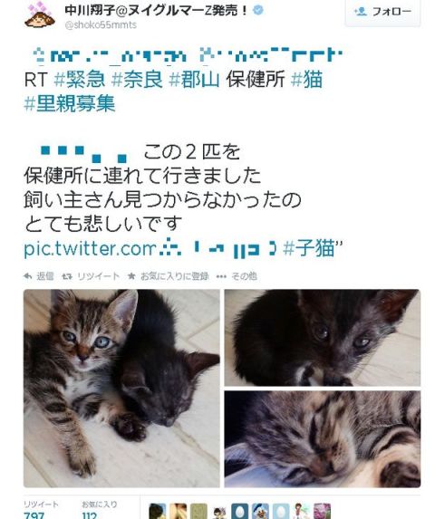 しょこたん (1)