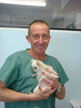 Dr.Luca