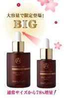 �ꥸ���BIG