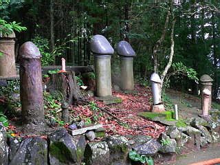 yamaguchi-marakannon05