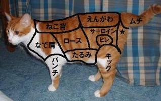�����ʲ�����������-175