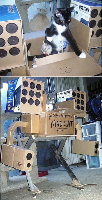 動物の笑える萌え画像-129