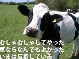 9jUS1