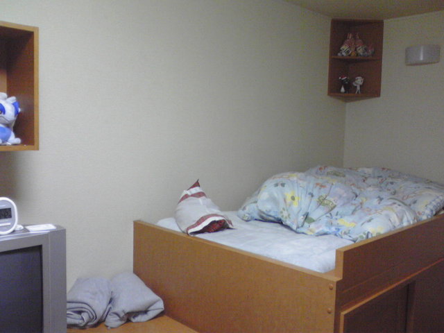 部屋を晒していただくスレ-182_4