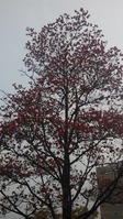 IMG_20130515_171600