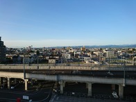 DSC_0482