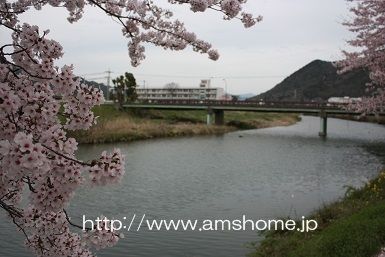 IMG_05a