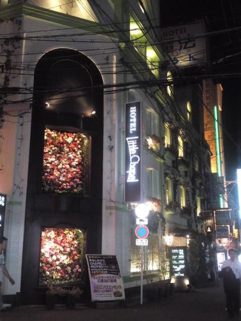 HOTEL ���g���`���y��