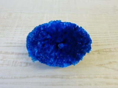 P1110725