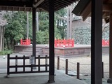 DSC_1954s