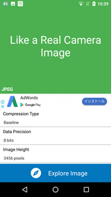 Fake Image Detector (5)