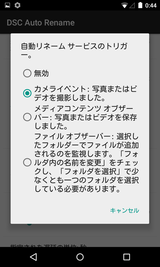 DSC Auto Rename (13)