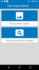 Fake Image Detector (2)