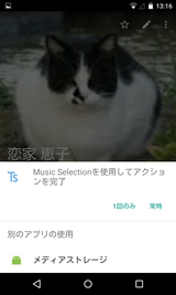 Tone Selector (Ringtone Alarm) (13)