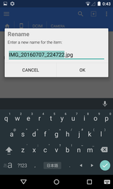 DSC Auto Rename (12)