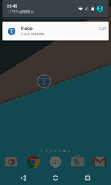 Inapp Translator (14)