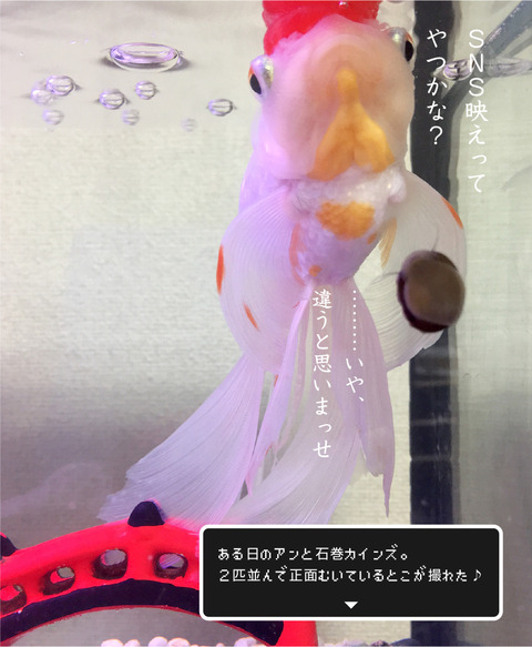 0808