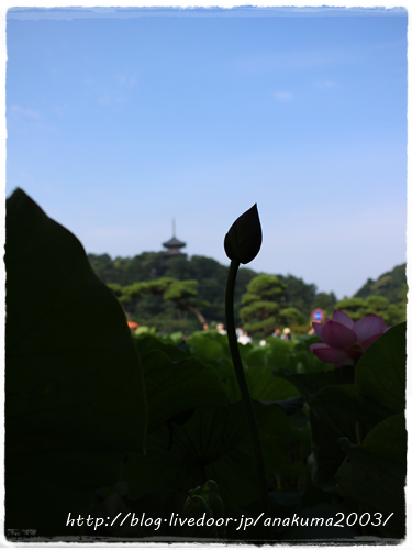 IMG_1719