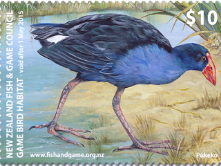 Pukeko