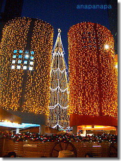 2011-12-26-05