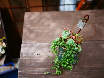 P1230808