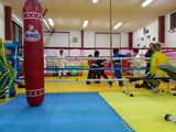 43530692.jpg